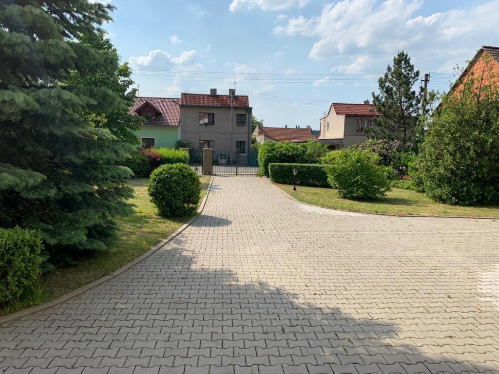 Dogs Resort And Spa Horni Bezdekov Екстериор снимка