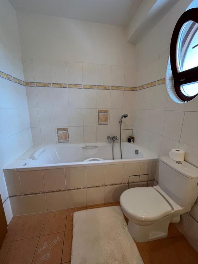 Dogs Resort And Spa Horni Bezdekov Екстериор снимка