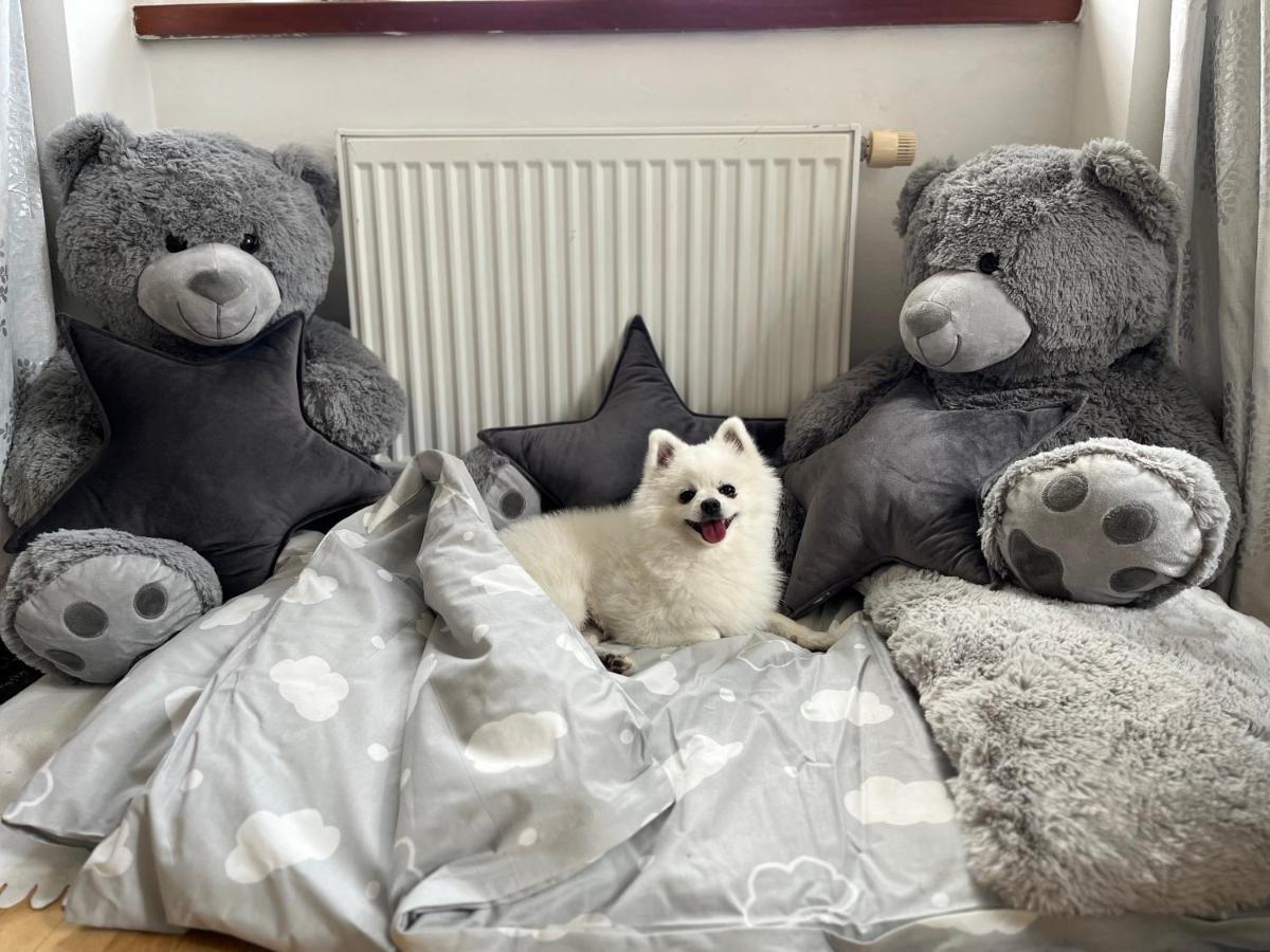 Dogs Resort And Spa Horni Bezdekov Екстериор снимка