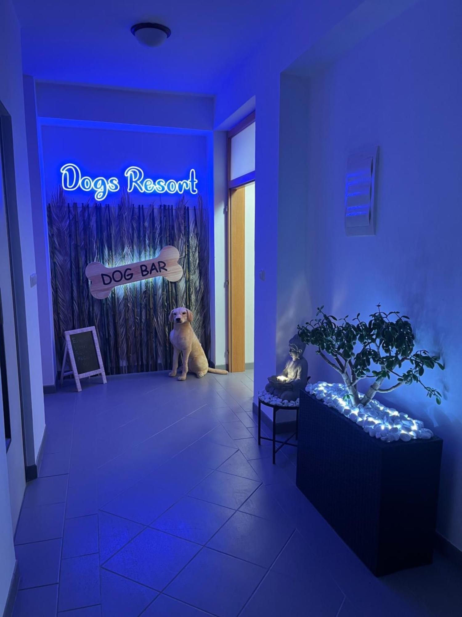 Dogs Resort And Spa Horni Bezdekov Екстериор снимка